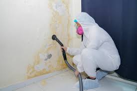 Best Environmental Consulting for Mold Prevention  in Westville, IN